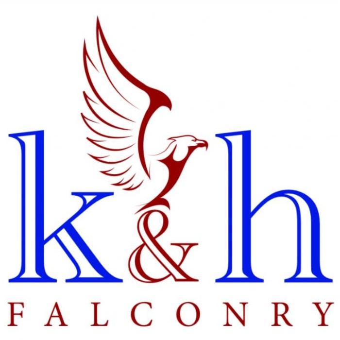 K & H Falconry static and flying displays